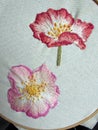 Handmade brooch embroidered with spring flowers - pink wild rose Royalty Free Stock Photo