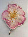 Handmade brooch embroidered with spring flowers - pink wild rose Royalty Free Stock Photo