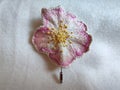 Handmade brooch embroidered with spring flowers - pink wild rose Royalty Free Stock Photo