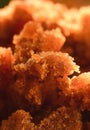 Handmade brown sugar, sugar cane is squeezed and concentrated to form a honeyed sugar