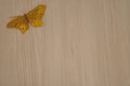 Butterfly, handmade crafts, golden color, wooden background, copy space Royalty Free Stock Photo