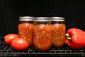 Handmade Canned Roasted Salsa Jars with Fresh Tomatoes Sitting on a Grill Royalty Free Stock Photo