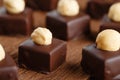 Handmade chocolate bonbons with hazelnut