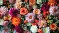Handmade Chrysanthemum Flower Wall - Vibrant Wedding Decoration with Red, Orange, Pink, Purple, Green and White Blooms Royalty Free Stock Photo