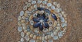 Round Pattern Of Shells And Mussels On A Sea Sand Royalty Free Stock Photo