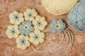 Handmade colorful crochet flower with skein Royalty Free Stock Photo
