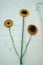 Crocheted sunflowers on a brick wall Royalty Free Stock Photo