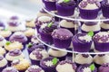Luxury wedding cupcake with purple flowers and motives