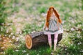 A handmade doll on the grass background Royalty Free Stock Photo