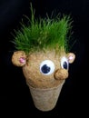 Handmade doll oliziukas for growing grass seeds as hairs isolated on the black background