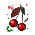 Handmade drawing of cherries on a stick with leaves. Cherry is red, isolated. A bright picture for a book, cover, website.