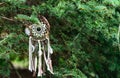 Handmade dream catcher hanging on a tree, outdoors