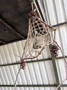 Handmade dreamcatcher hanging from a ceiling Royalty Free Stock Photo
