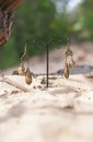 Handmade. Earrings on the stand with buddhas on sand