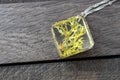 Handmade epoxy resin jewelry. Iceland moss in glass, pendant