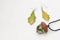 Handmade epoxy resin jewelry. oak leaf earrings. acorn pendant. Royalty Free Stock Photo