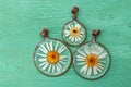 Handmade epoxy resin jewelry. pendant, camomile in copper frame. dried flowers. herbarium.