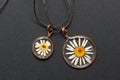 Handmade epoxy resin jewelry. pendant, camomile in copper frame. dried flowers. herbarium, oshibana, phytotherapy. isolated on