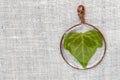 Handmade epoxy resin jewelry. pendant, ivy leaf in copper frame