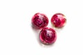 Handmade epoxy resin jewelry. roses in sphere, three pieces. top view. dried flowers. herbarium, oshibana.