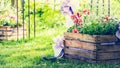 Handmade flowerbed beautiful colored flowers inside, standing on the lawn in the park on a background of blurred natural land Royalty Free Stock Photo