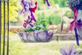 Handmade flowerbed with beautiful colored flowers inside, standing on the lawn in the park on background of blurred natural land Royalty Free Stock Photo