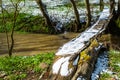 Handmade footbridge over the river. Spring stream in the forest after the snowfall. Springtime in the woods. Royalty Free Stock Photo