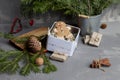 Gingerbread cookies in a tin box on the background of a bouquet of fir branches in an iron bucket Royalty Free Stock Photo