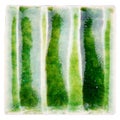 Handmade glazed ceramic tile Royalty Free Stock Photo