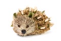 Handmade hedgehog