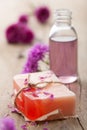 Handmade herbal soap Royalty Free Stock Photo