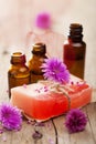 Handmade herbal soap Royalty Free Stock Photo