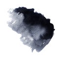 Fluffy Black Watercolor Spat