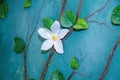 Handmade interior detail - flowers made of self-hardening modelling clay on a rough wall