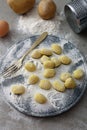 Handmade Italian gnocchi