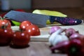 Handmade kitchen knife