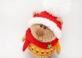 Handmade knitted toy. Knitted bear close-up in color sweater and red hat with white pompom on white background