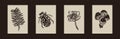 Handmade linocut bug, mushroom motif clipart in folkart scandi style. Set of simple monochrome block print flower fern