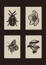 Handmade linocut bug, mushroom vector motif clipart in folkart scandi style. Set of simple monochrome block print