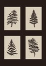 Handmade linocut fern motif clipart in folkart scandi style. Set of simple monochrome block print leaf shapes with