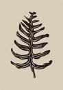 Handmade linocut fern motif clipart in folkart scandi style. Simple monochrome block print leaf shapes with woodcut