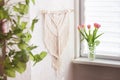 Handmade macrame wallhanging. 100% cotton wall decoration with wooden stick hanging on a white wall. Female hobby. ECO