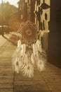 Handmade mandala God`s Eye dream catcher with white peacock feat