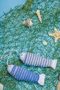 Handmade marine background. Crocheted sardine fishes, nautical style. Fishing net, sea decor