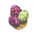 Handmade marker drawn illustration of artichoke.