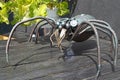 Handmade metal spider placed on a counter, artistic forging. Kyiv Ukraine