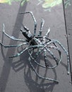 Handmade metal spider placed on a counter for sale, artistic forging. Kyiv Ukraine