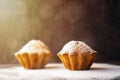 Handmade muffins with powdered sugar on the black background. Sunshine beams and sunlight, bokeh with selective soft focus. Place