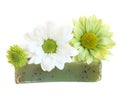 Handmade natural herbal soap Royalty Free Stock Photo