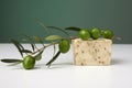 Handmade olive soap with olive branch. Royalty Free Stock Photo